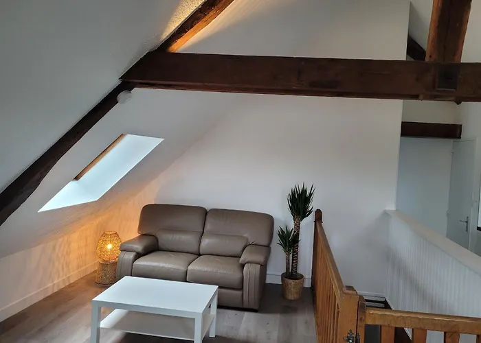 Appartement Avec Vue Sur Loire