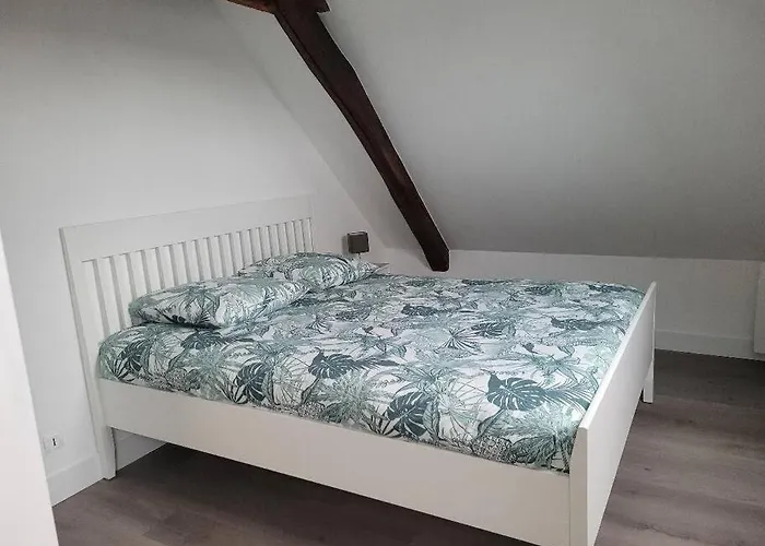 Appartement Avec Vue Sur Loire