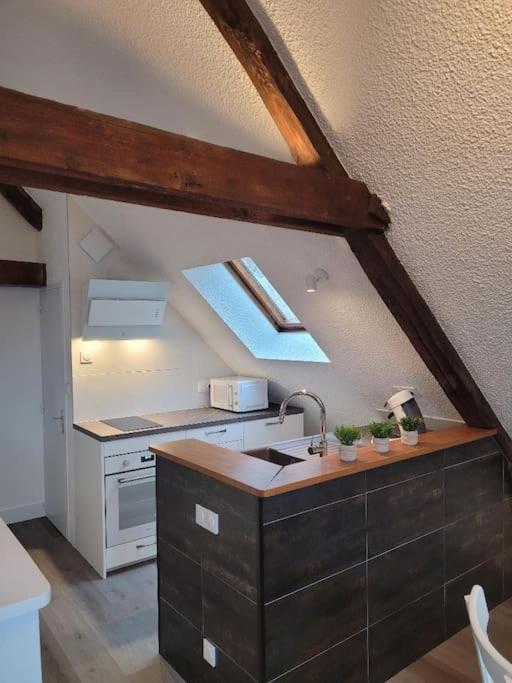 Apartment Avec Vue Sur Loire