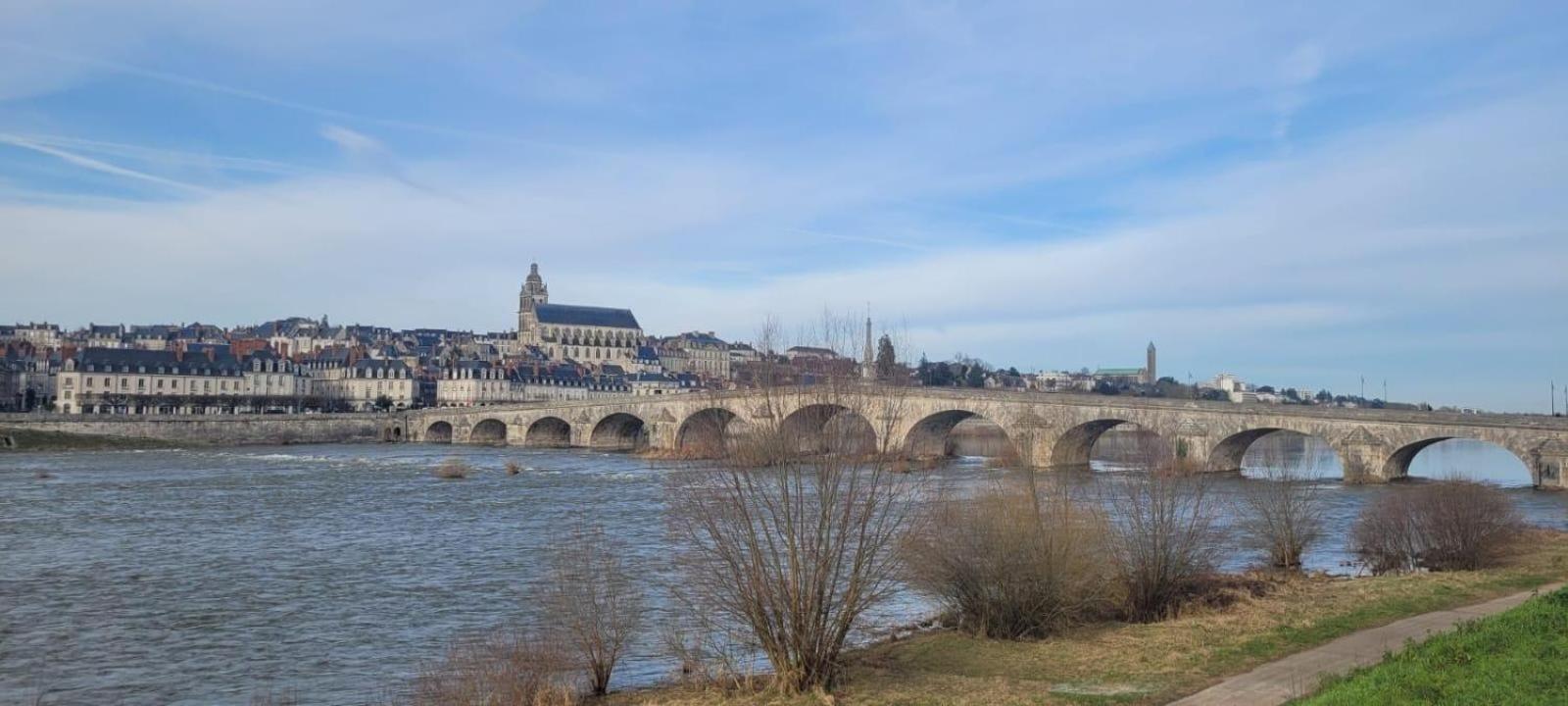 Avec Vue Sur Loire Apartment