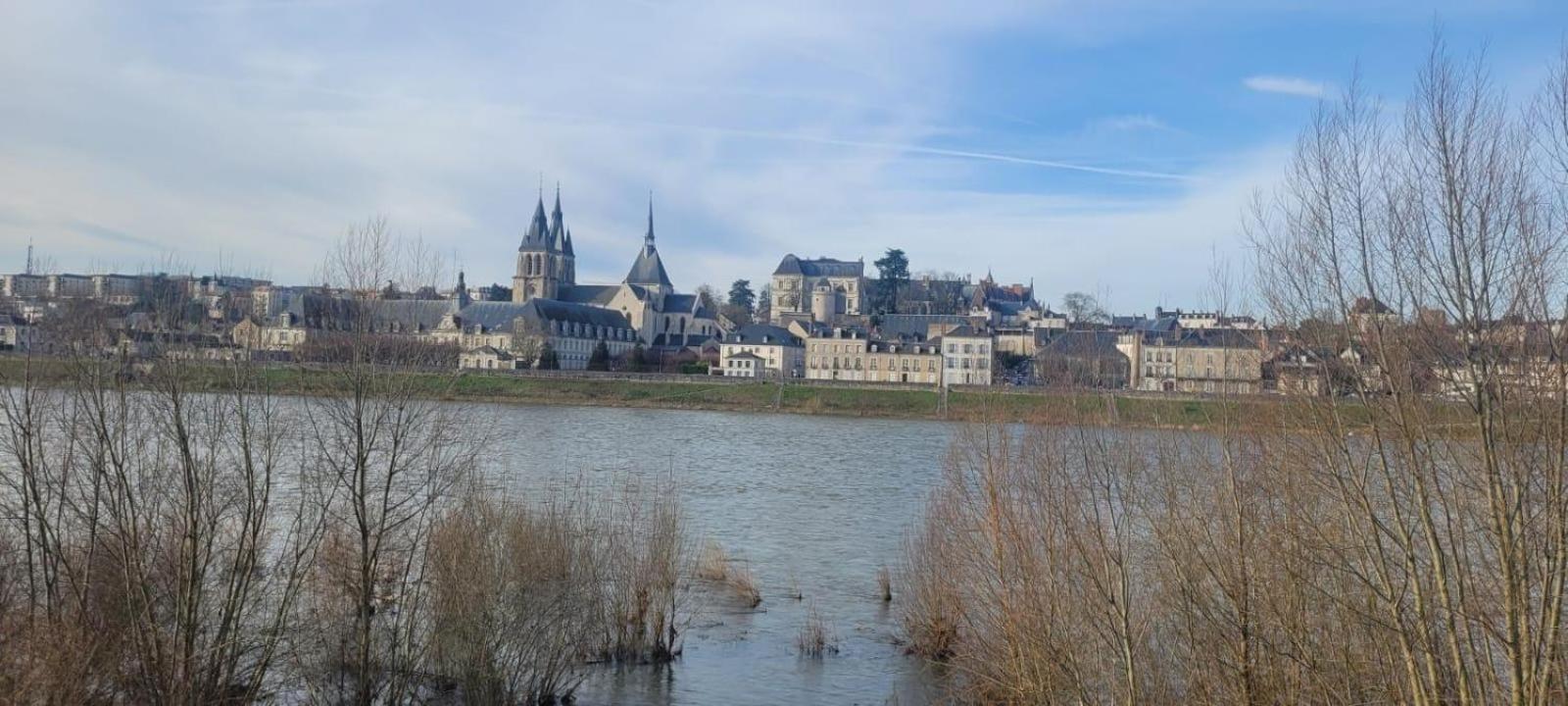 Apartment Avec Vue Sur Loire